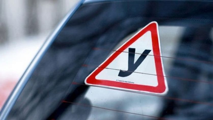 Котовчанин, осуждённый за «помощь в получении водительских прав», уличён в новых эпизодах мошенничества